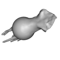 3d model - squid