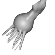 3d model - squid