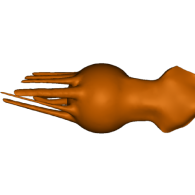 3d model - squid