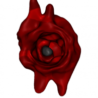 3d model - Bullet going though a heart