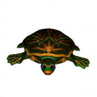 3d model - Turtle