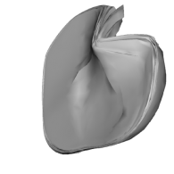 3d model - Heart