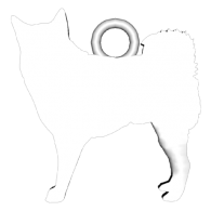 3d model - Samoyed