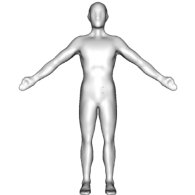 3d model - Human template