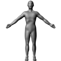 3d model - Human template