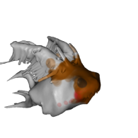 3d model - fish99