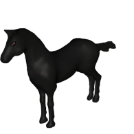 3d model - My Horse