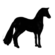 3d model - My Horse 4