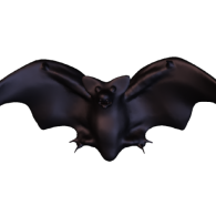 3d model - Bat