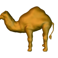 3d model - Camel