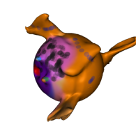 3d model - fish07