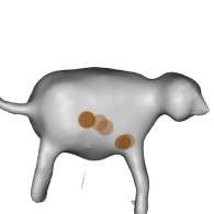 3d model - Dog