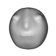 3d model - face