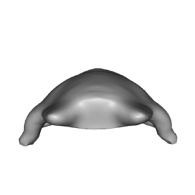 3d model - platypus frog thing