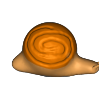 3d model - slowly snail