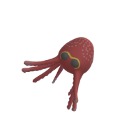 3d model - octopus3