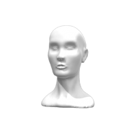 3d model - head mimic