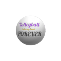 3d model - VolleyballBianca