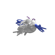 3d model - fishy
