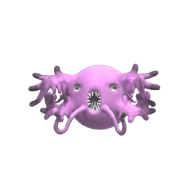 3d model - Squishy