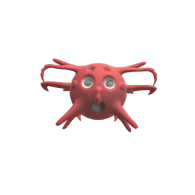 3d model - sea urchin