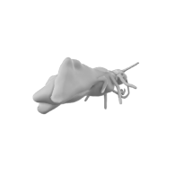 3d model - 35271