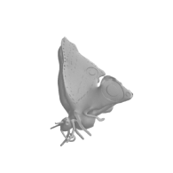 3d model - 35277