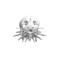 3d model - Coral Sea Creature