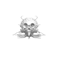3d model - creature