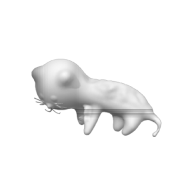 3d model - katze