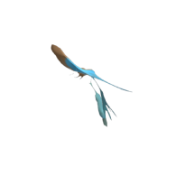 3d model - Vogel