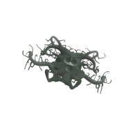 3d model - Peter