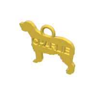 3d model - Charlie Tag