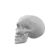 3d model - felix skull