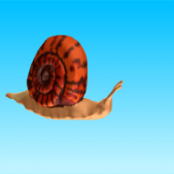 3d model - Tiger snail