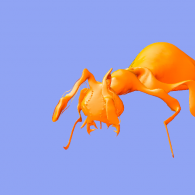 3d model - 4 legs ant