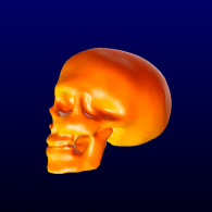 3d model - skull