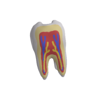 3d model - FogViviRebi