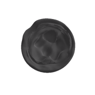3d model - pot 
