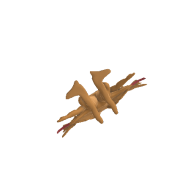 3d model - fail at chazard
