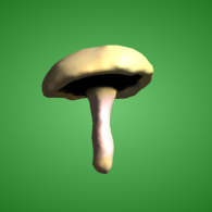 3d model - Agaricus Campestris (mushroom)