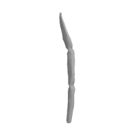 3d model - os de la main- ugly