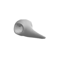 3d model - Brid Skull V5