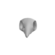 3d model - Brid Skull V9