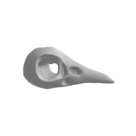 3d model - Brid Skull V10