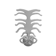 3d model - Gaia