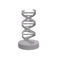 3d model - DNA