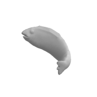 3d model - 64419