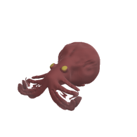 3d model - polip