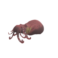 3d model - Farkasgabipolip